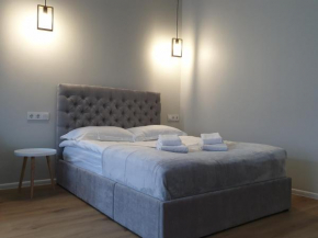 Apartment Scandinavian Loft